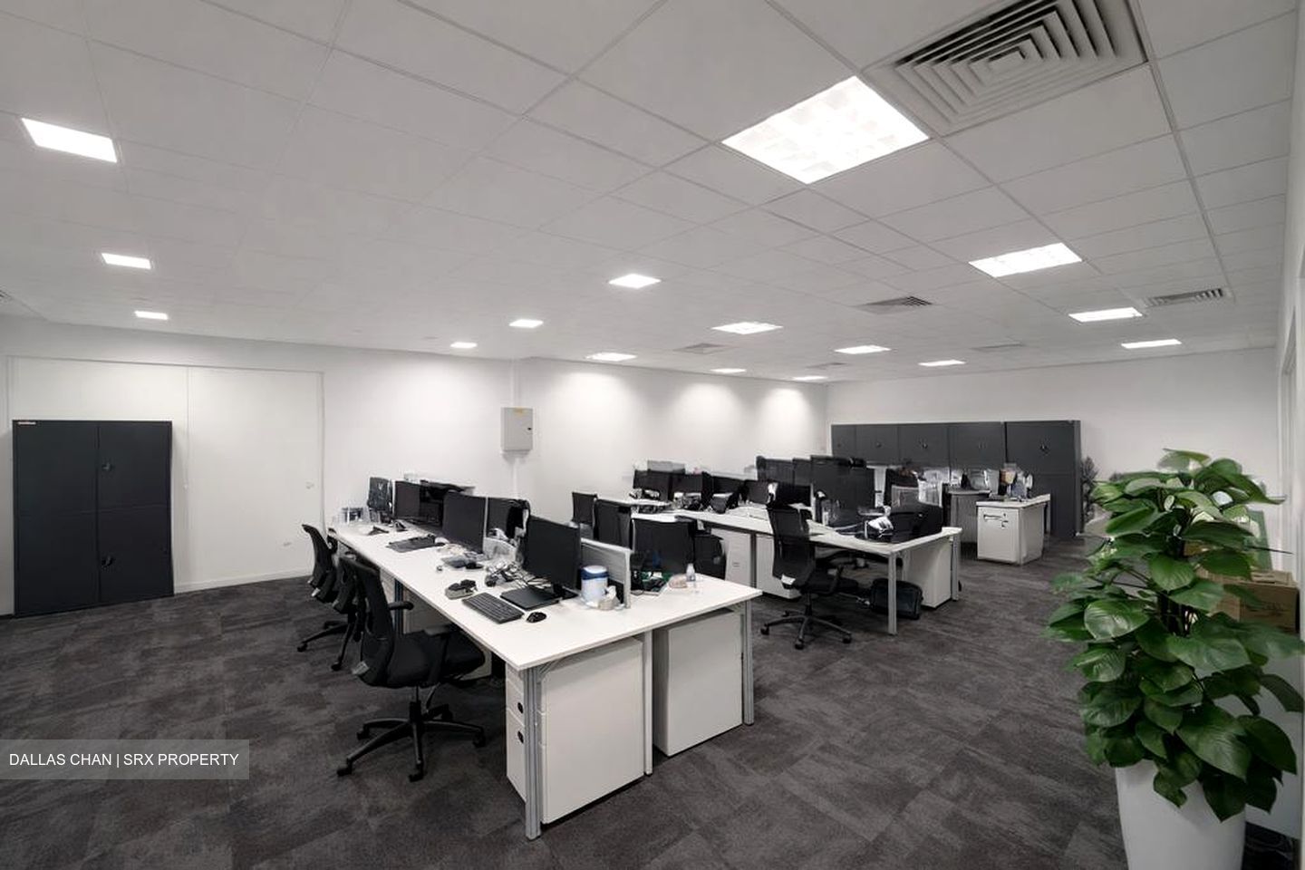 Springleaf Tower (D2), Office #518892231